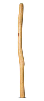 Medium Size Natural Finish Didgeridoo (TW458)